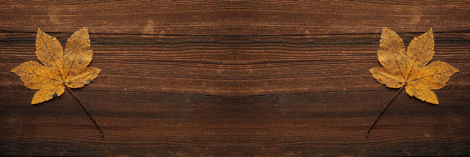 Sustainable Hotel Furniture / Reclaimed Hotel Furniture