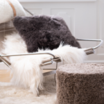 Natures Collection 2021/2022 Catalogue