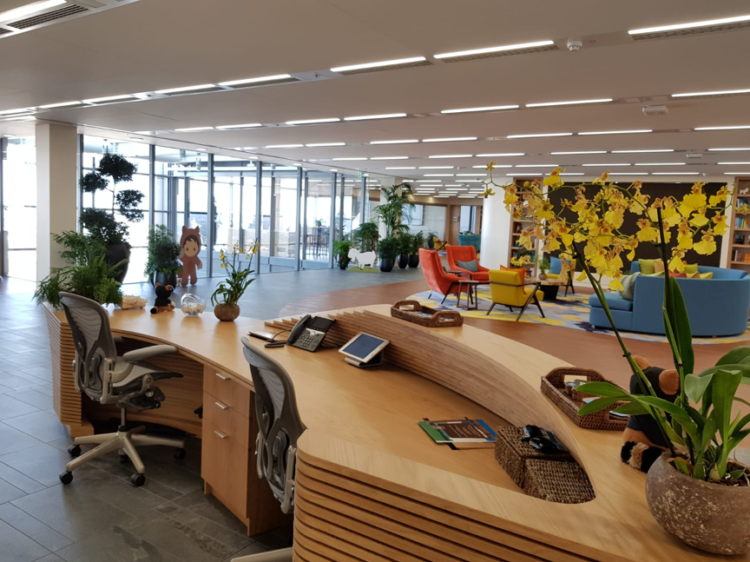 Hotel Interior Landscaping / Hotel Living Walls