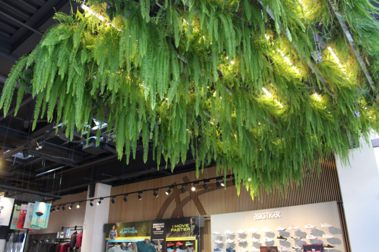 Hotel Interior Landscaping / Hotel Living Walls