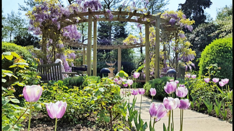 Hotel Interior Landscaping / Hotel Living Walls