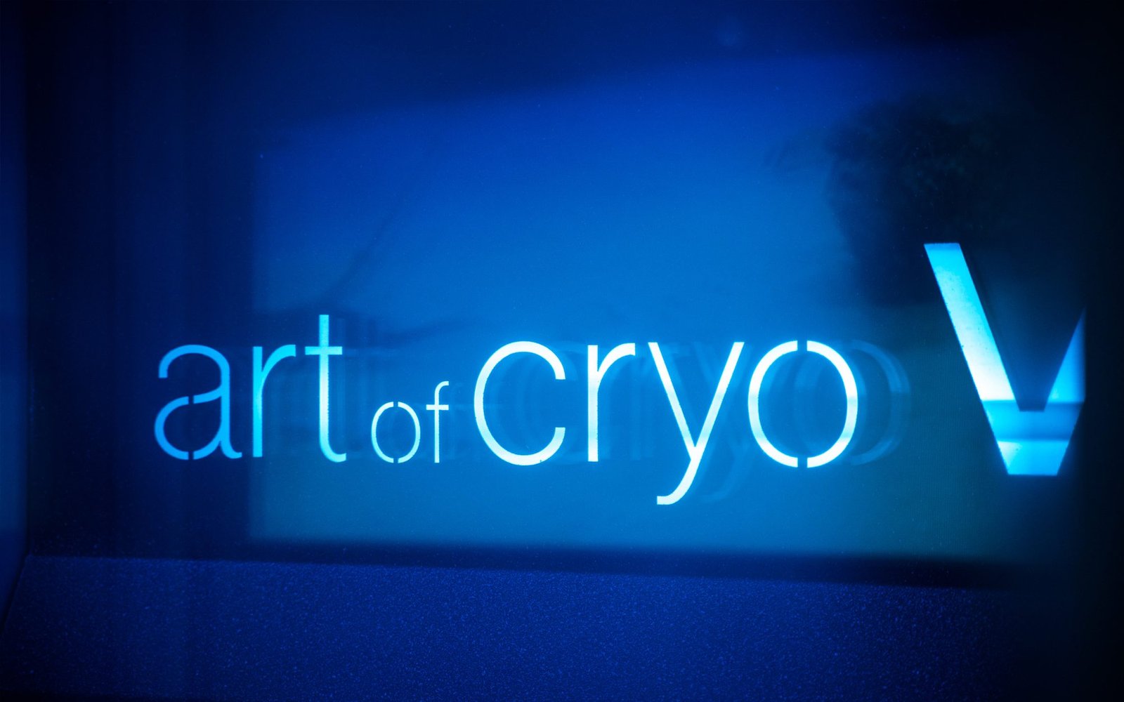 Whole-Body Cryo Chamber