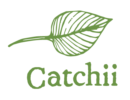 Hotel Wallpaper Designs / Hotel Dinnerware