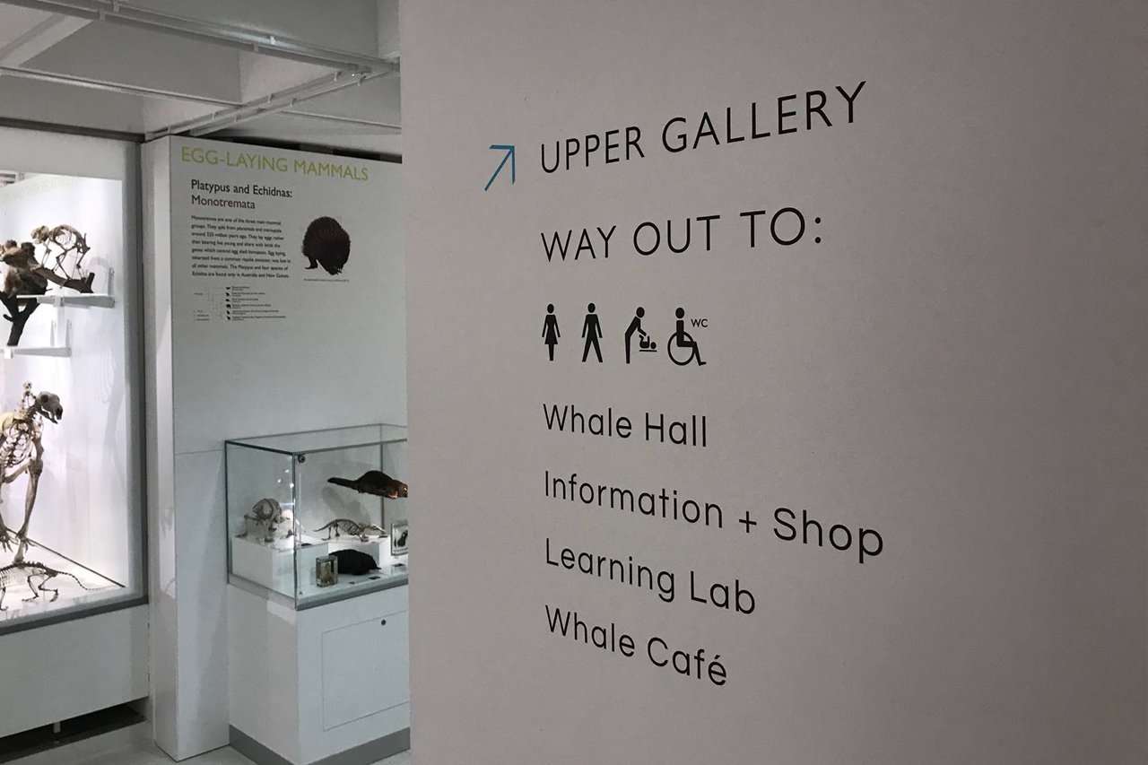 Hotel Interior Graphics Solutions, Hotel Wayfinding and Signage