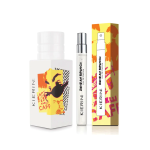 Perfumes for Hotels, Luxury Fragrances for Hotels, Eco Friendly Hotel Candles