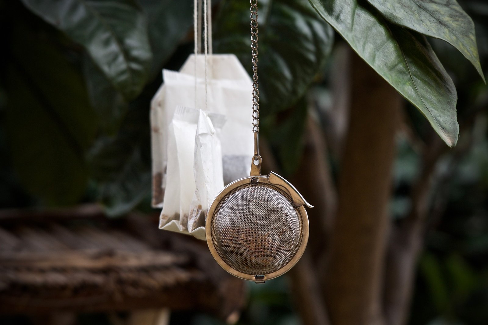 Highest Quality CBD Products