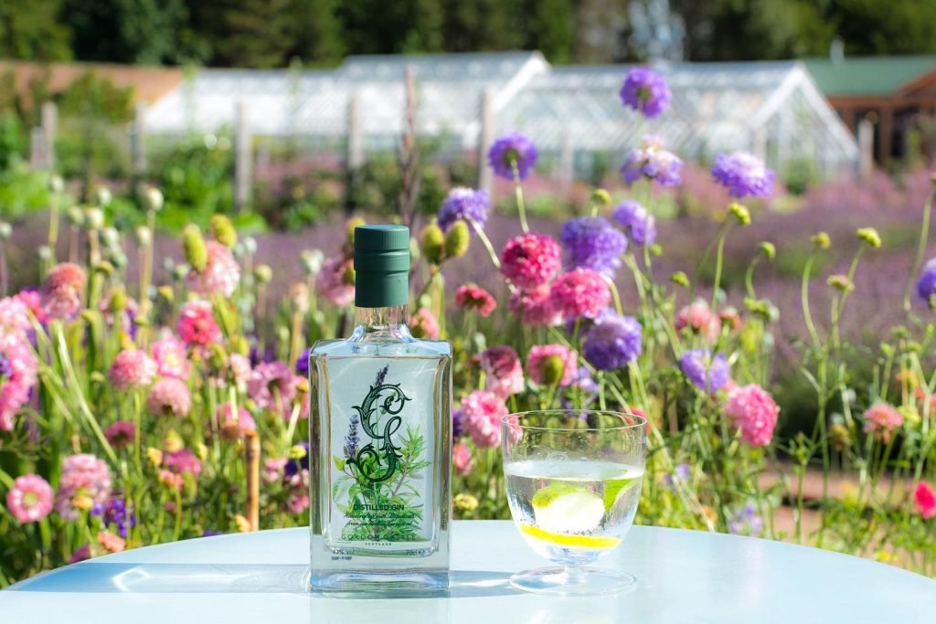 Sustainable Hotel Ales