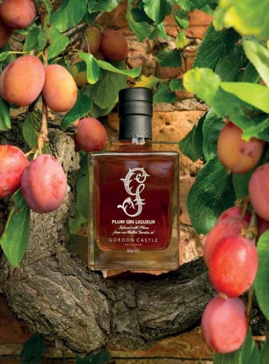 Sustainable Hotel Ales