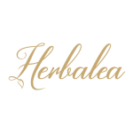 SG_Product Catalog_EN_V2023-02_compressed.pdf