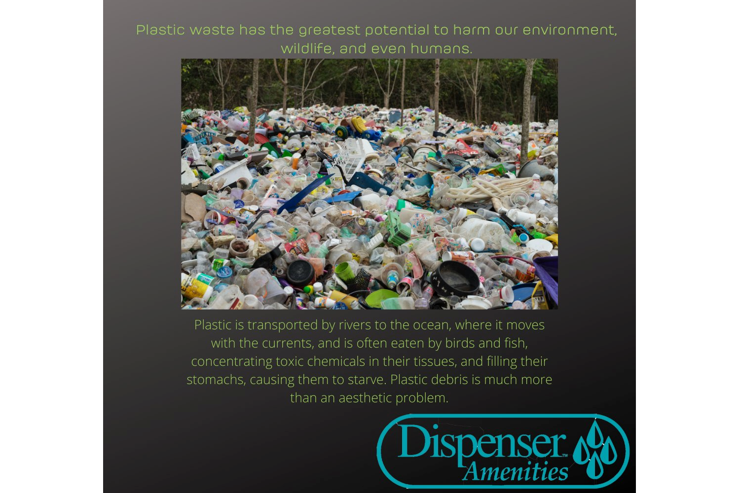 Hotel Bathroom Dispensers