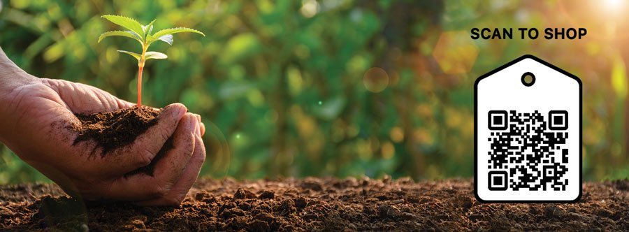 Sustainable Dry Cleaning System