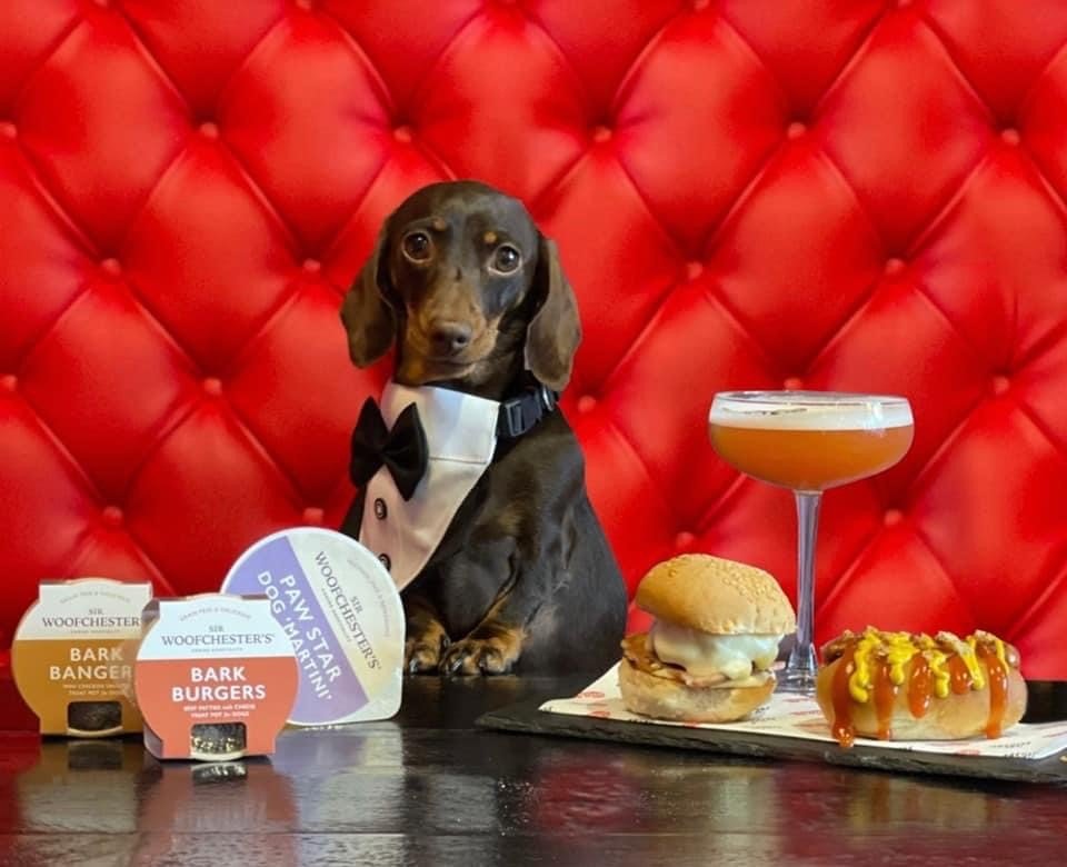 Luxury Dog Treat Menus