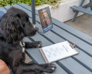 Dog Welcome Packs