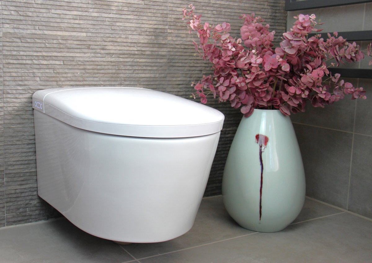 Sustainable Smart Toilets