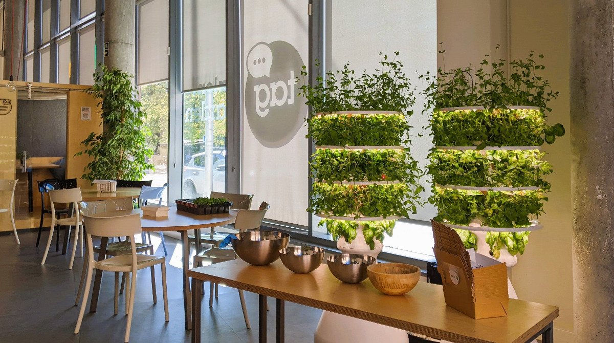 Indoor Agriculture Vertical Farming