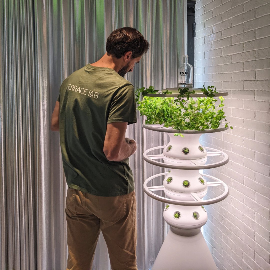 Indoor Agriculture Vertical Farming