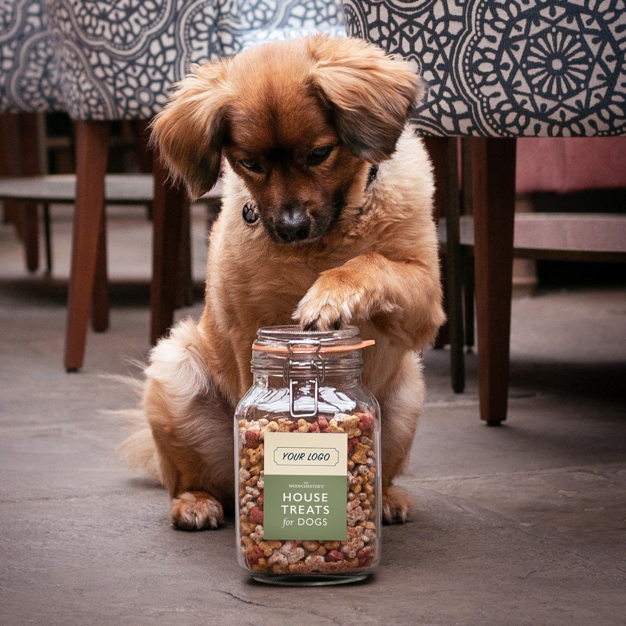 Hotel Dog Treats