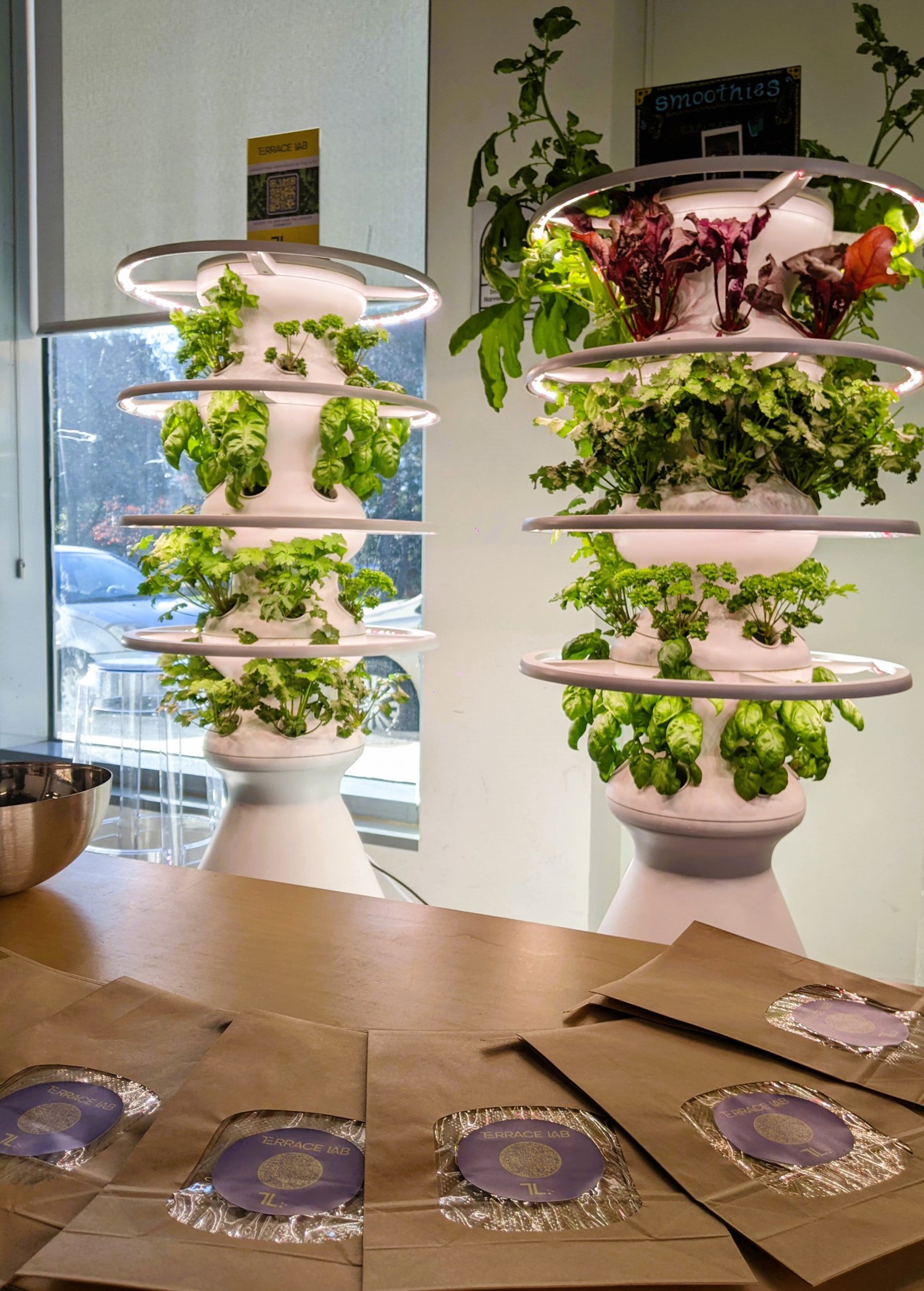 Indoor Agriculture Vertical Farming