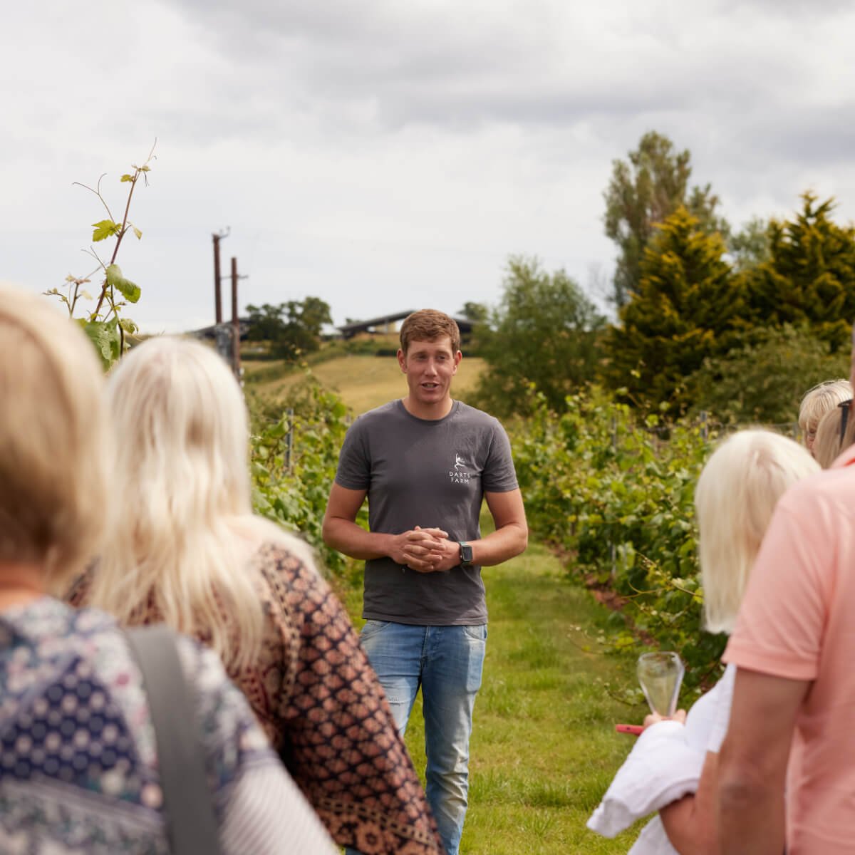 Hotel Vineyard Wines