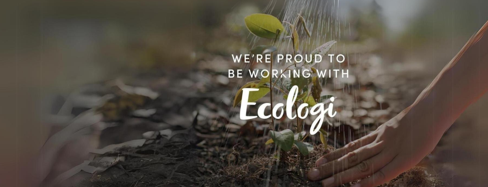 Eclectic Events Leads the Way in Sustainable Event Production, Partners with Ecologi to Offset Carbon Footprint