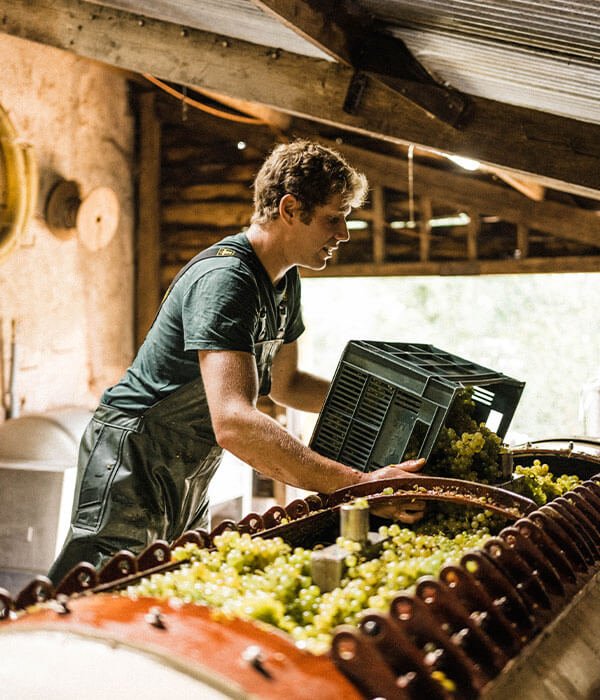 English Sparkling Wine