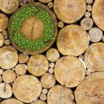 A5 SUSTAINABILITY 2024.pdf