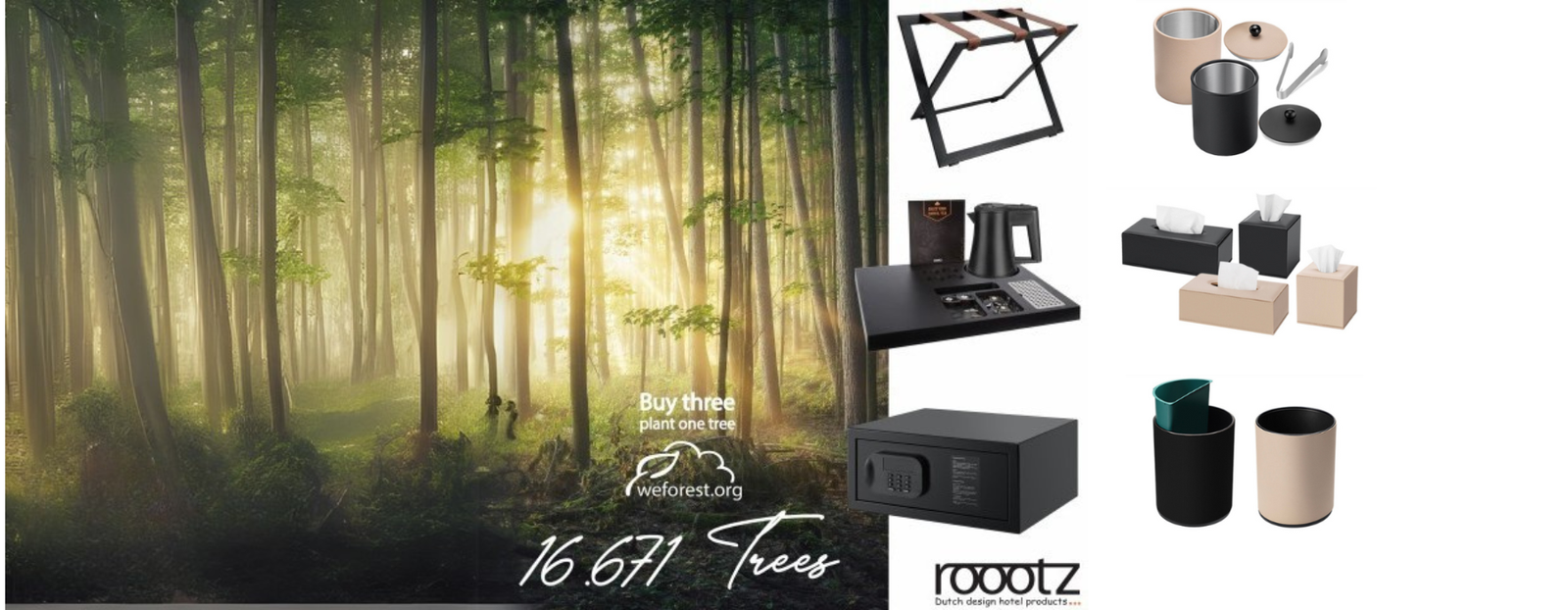Roootz and WeForest: Growing a Greener Future with 16,671 Trees and Counting!