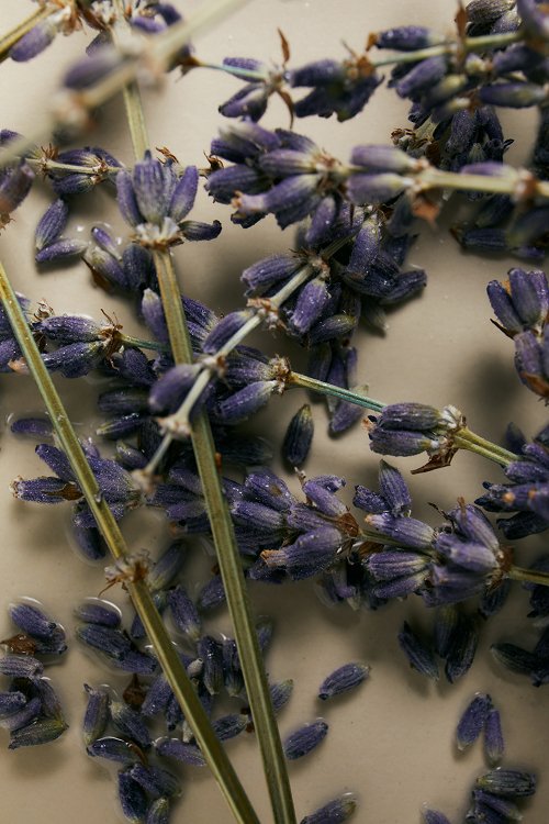 Hotel Wellness Drinks